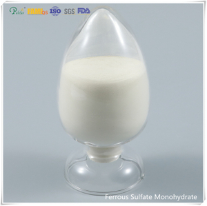 "Sulfato ferroso monohidratado em pó grau de alimentação/grau industrial"